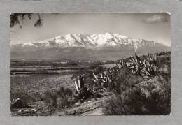 38584    Francia,   Plaine  Du  Roussillon - Le  Canigou (2785 M.),  VGSB - Roussillon