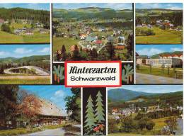 PK-CP Deutschland, Hinterzarten Schwarzwald, Ungebraucht, Siehe Bilder! - Hinterzarten