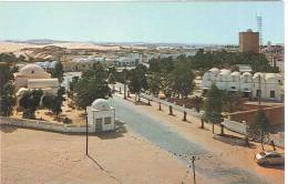 CPM Algérie - El Oued - La Ville Aux Mille Coupoles - El-Oued