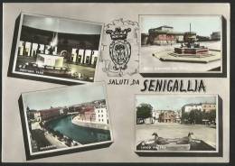 SENIGALLIA Largo Ancona Rocca E Piazza Duca Fontana Faro Panorama Marche 1955 - Senigallia