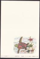 Newyear Picture Postcard 1991, Turtle (jny165) - Cartes Postales