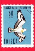 POLONIA - 1964 - Uccelli - Vogels - Oiseaux - Birds - Avesi - Water Birds - Osprey - 60 Gr - Ongebruikt