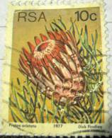 South Africa 1977 Protea Aristata 10c - Used - Gebruikt