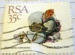 South Africa 1988 Cactus Dinteranthus Wilmotianus 35c - Used - Used Stamps
