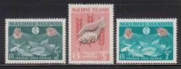 Maldives MH Scott #117-#119 Fish In Net, Wheat Emblem - Freedom From Hunger Campaign - Maldives (...-1965)