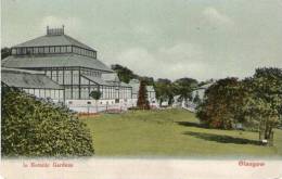 COLOURED POSTCARD IN BOTANIC GARDENS - GLASGOW - - Dunbartonshire