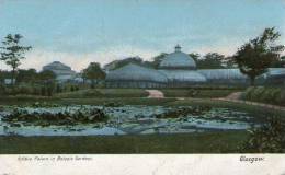 KIBBLE PALACE IN BOTANIC GARDENS GLASGOW - Coloured Postcard - Dunbartonshire