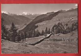 YBLAT- 27 Bettmeralp Ob Betten  Mischabel Matterhorn Weisshorn  Nicht Gelaufen.Gyger 16220 - Betten