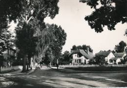 TAVAUX CITÉS - Rue De La Paix - Tavaux