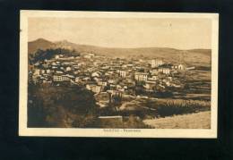 S4185 CARTOLINA ILLUSTRATA NUORO SARULE PANORAMA FP. V. - Nuoro