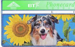 Royaume-Uni BT Phonecard 50Units Vide Et TTB **** N° Lot :563E83023 RARE Carte 2 Sur Série De 4 - Colecciones