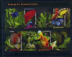 Lot 137 - B 14 - Roumanie ** Bloc N° 285 - Poissons Exotiques - Nuovi