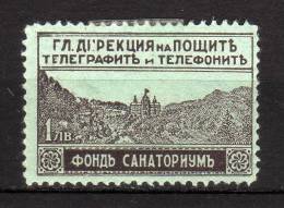 BULGARIA - 1925/29 YT 1 * EXPRES - Express Stamps