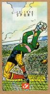 Feuillet NL Poste FDC Sport Balle Pelote Handball Et Football Sans Timbre - 1991-2000