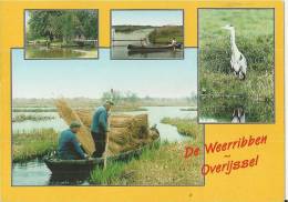 NETHERLANDS 1995 –DRENTHE -OVERRIJSSEL –DE WEERRIBBEN – NATURE PARKS VIEW  FLOWN W 1 ST OF 70 C POSTM ZWOLLE JUN 26, 19 - Autres & Non Classés