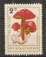Bulgaria 1961  Mushrooms (*) MNG  Mi.1263 - Ungebraucht