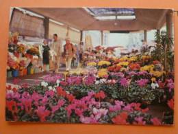 V9-06-nice-le Port--le Marché Aux Fleurs-- - Markets, Festivals