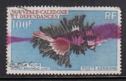 New Caledonia Used Scott #C65 100fr Black Murex (shellfish) - Used Stamps