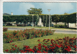 91 - BRETIGNY Sur ORGE - La Place Gabriel Chevrier - CPSM - Bretigny Sur Orge