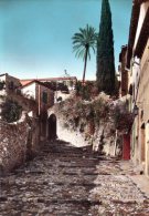 BIOT-LES TINES - Vieille Rue Pittoresque (147-48) - Biot