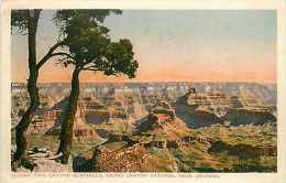 Mai13 661 : Grand Canyon National Park  -  Two Canyon Sentinels - Grand Canyon