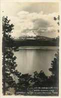 Mai13 665 : Mount Mc Laughlin (Mount Pitt)  -  Upper Klamath Lake - Otros & Sin Clasificación
