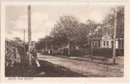 Gruss Aus FREEST Kröslin Dorfstrasse Belebt Cafe Pense Photograph Schulz Wolgast Ungelaufen - Wolgast