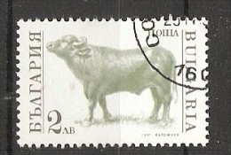 Bulgaria 1991  Domestic Animals  (o)  Mi.3883 A - Oblitérés