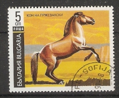 Bulgaria 1991  Horses  (o)  Mi.3903 - Oblitérés