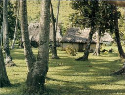 (600) Figi Carte Assez Ancienne - Older Postcard Of Fiji Island - Bure - Figi