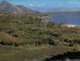 (600) Figi Carte Assez Ancienne - Older Postcard Of Fiji Island - Queen's Highway Landscape - Fidschi