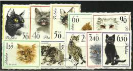 ● POLONIA 1964 - GATTI - N. 1332 / 41 **/us. Serie Completa Mista / Difetti - Cat. ? € - Lotto N. 993 - Ongebruikt