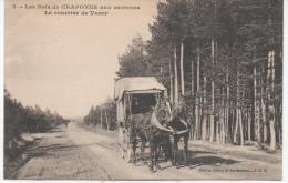 LES BOIS DE CRAPONNE AUX ENVIRONS  LE COURRIER DE VOREY  BELLE ANIMATION - Craponne Sur Arzon