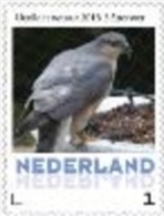 Nederland  2013-3  Ucollect  Sperwer  Vogel -bird - Oiseau Postfris/mnh/neuf - Ongebruikt