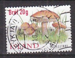 Q1165 - ISLANDE ICELAND Yv N°928 - Used Stamps