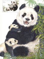 (333) Panda Bears - Panda De Chine - Australian Maximum Card - Ours