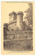 I65 Bretenoux - Chateau De Castelnau - Castello Schloss Castle Castillo / Non Viaggiata - Bretenoux