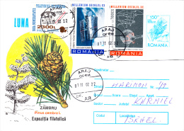 MAIL SENT TO ISRAEL WITH OVERPRINT STAMPS, SATTELITE, PINE, COVER, 2002, ROMANIA - Briefe U. Dokumente