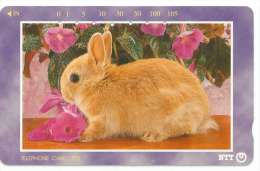 JAPON  TELECARTE LAPIN N° 231-291 - Lapins