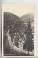 5419 DIERDORF - ISENBURG, Ortsansicht - Photo-AK - Dierdorf