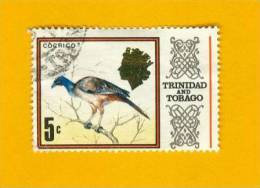 TRINIDAD & TOBAGO 1969,  BIRD Rufous-vented Chachalaca OISEAU Ortalide à Ventre Roux - Hoendervogels & Fazanten