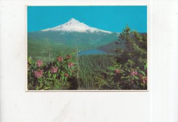 BT13838 Spectacular View Of Lost Lake And Mt Hood   2 Scans - Otros & Sin Clasificación