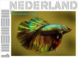 Nederland 2012 Ucollect  Vis 3 Betha Splendens  Postfris/mnh/sans Charniere - Ungebraucht