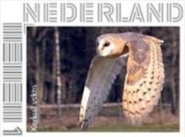 Nederland 2013 Ucollect  Uilen 7  Kerkuil Postfris/mnh/sans Charniere - Nuevos