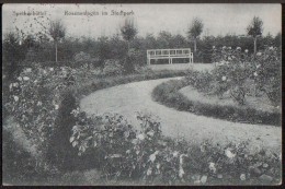 AK Speckenbüttel, Rosenanlagen Im Stadtpark, Gel 1924 - Bremerhaven