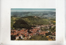 BT14286 Luftkurort Reichelsheim Im Odenwald Mit Schloss Reichenberg    2 Scans - Ruesselsheim