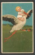 BABY BOY  ON BIRD  STORK   EMBOSSED    , OLD POSTCARD  , O - Geburt