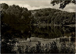 AK Kloster Chorin, Amtssee Mit Blick Zur Neuen Klosterschenke, Gel, 1967 - Britz-Chorin