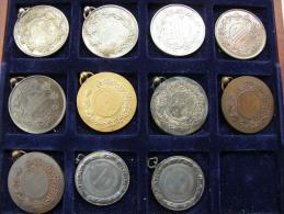 Belgium  11 Old Medals -Belgique 11  Medailles  1899-1910  Chevaux - Bovine - Professionals / Firms