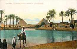Egypte - Ref A285- Pyramides  Au Temps De L Inondation   - Carte Bon Etat   - - Piramiden